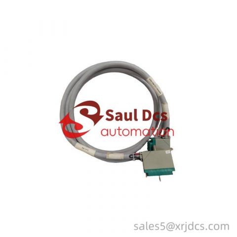 TRICONEX 4000093-310 Extended Product PLC