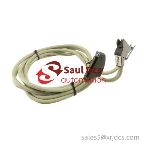 SCHNEIDER BMXDDI1602 Digital Input Module - 16 Channel, 24 VDC Positive Logic